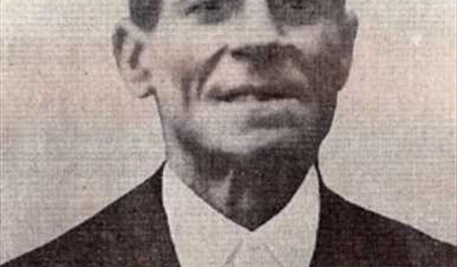 Pinini