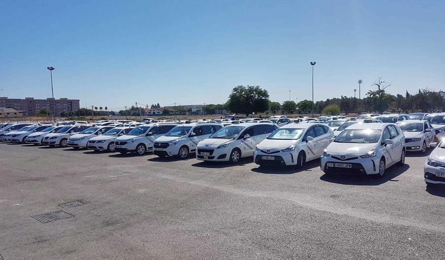 Tele Taxi Jerez