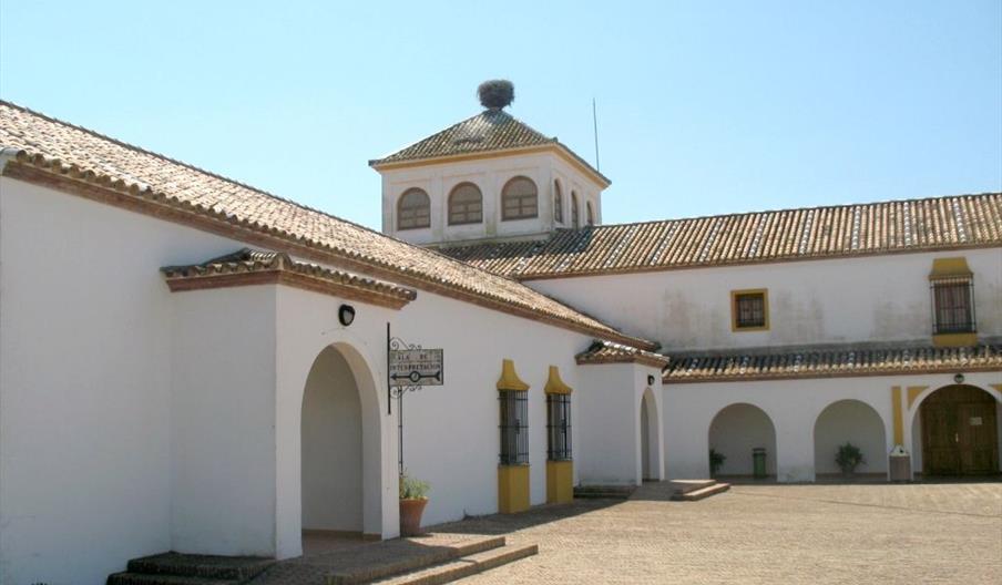 El Acebuche