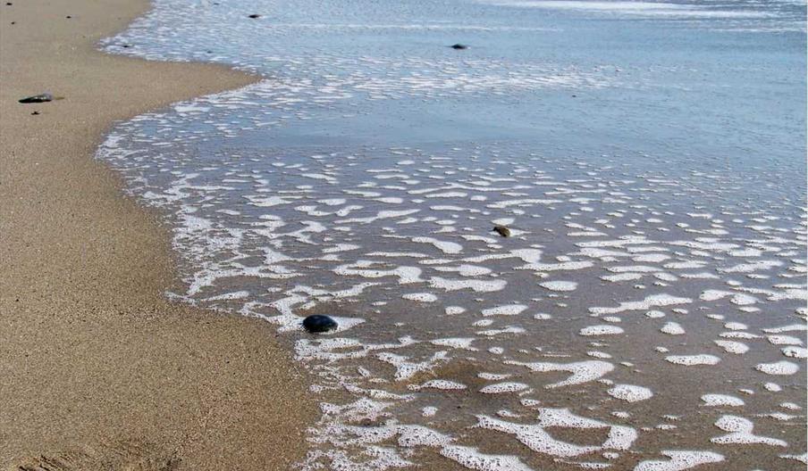 Playa del Castor