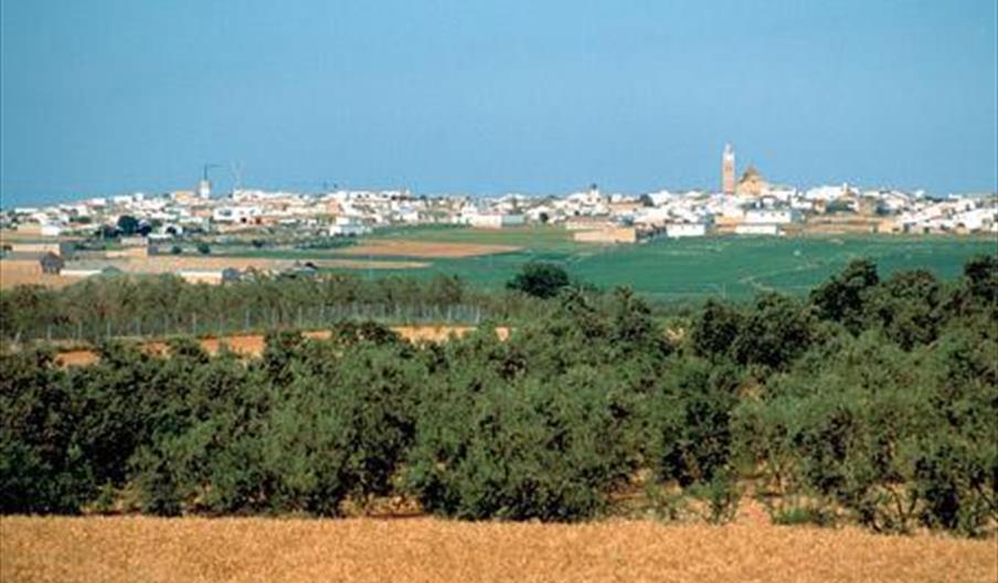 An image of Salteras
