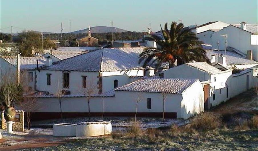 El Coronel
