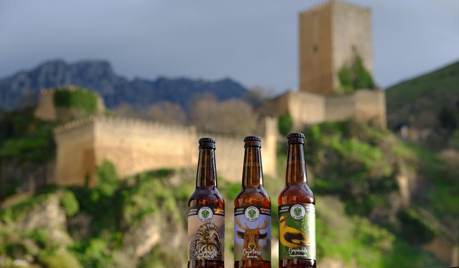 Cervezas La Yedra