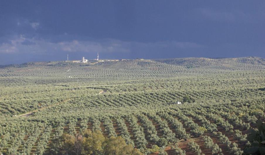 Jaén