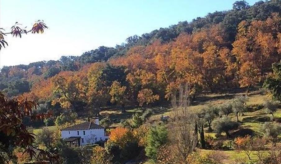 Vivienda Rural La Huerta de Arriba
