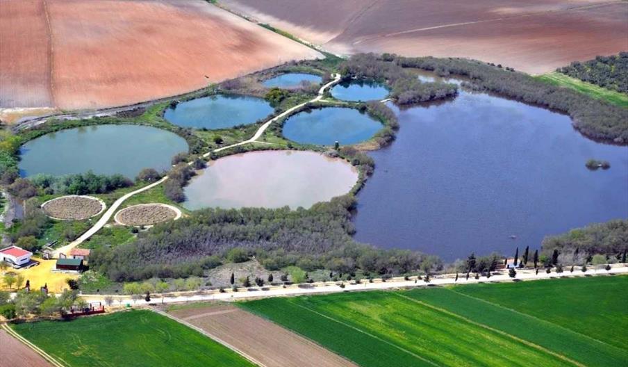 Laguna del Gobierno