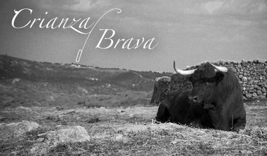Crianza Brava