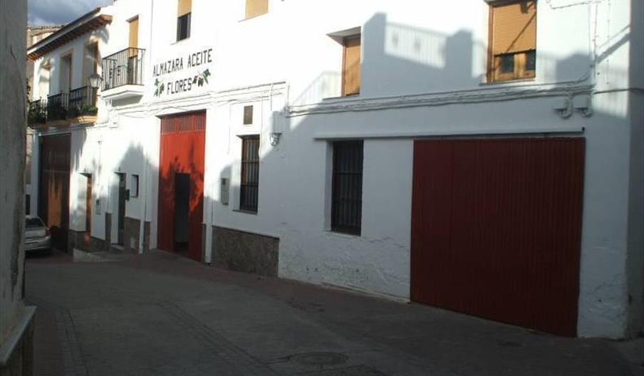 Flor de Oliva