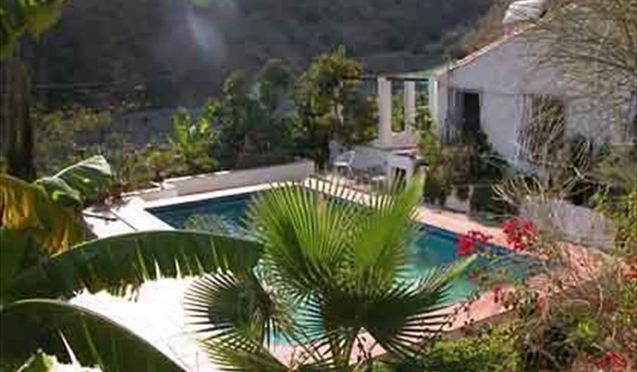 Finca Fortuna