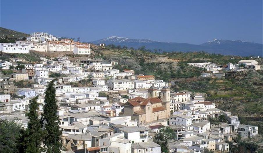 Murtas
