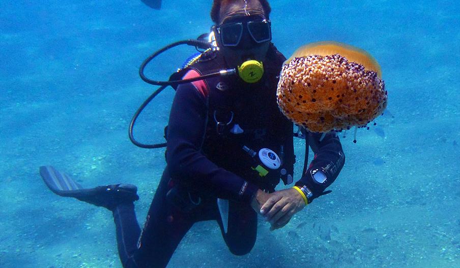 ScubaTropical