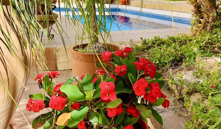 Hostal Nerja