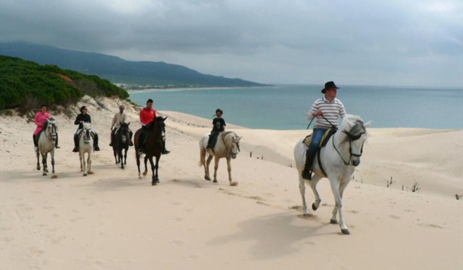 Aventuras del Sur