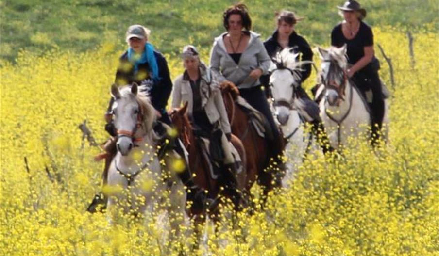 Rancho La Paz