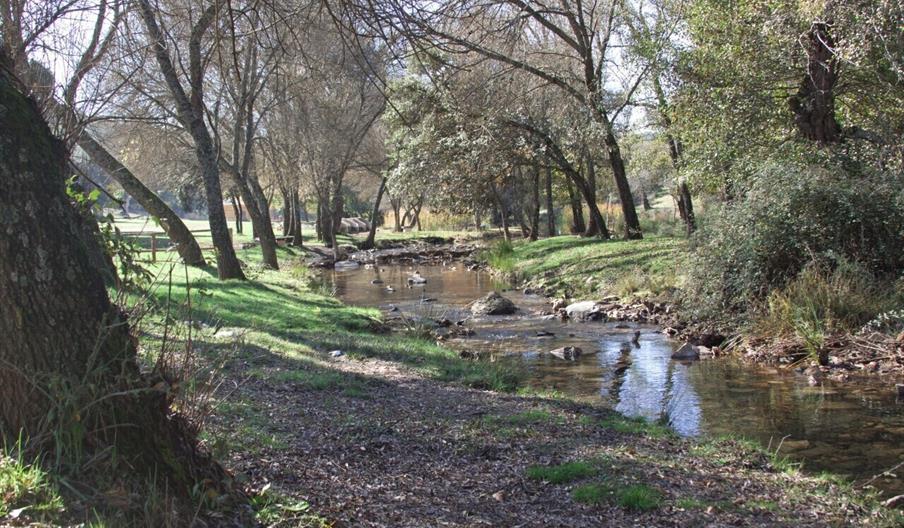 La Aliseda