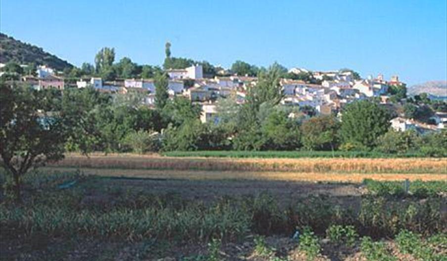 Frailes