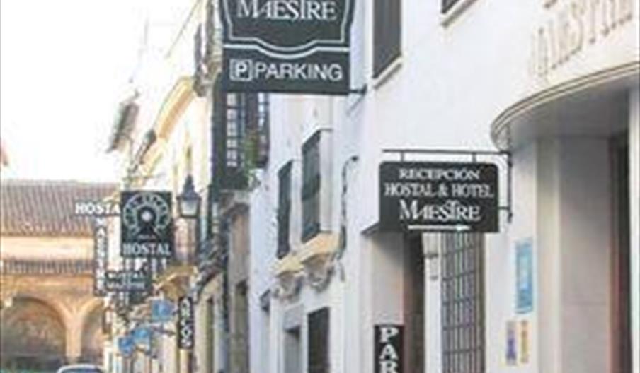 Maestre