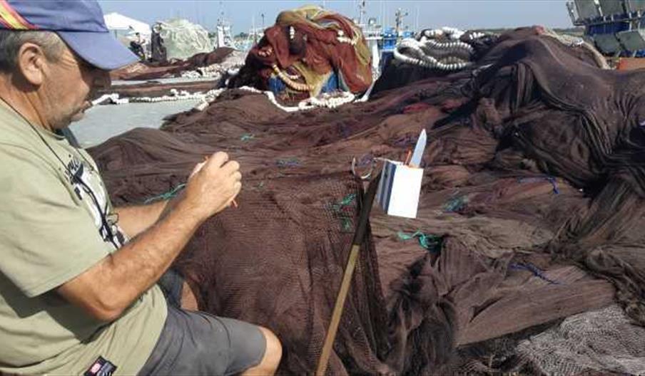 Experiencias Marineras