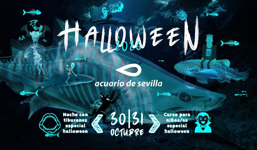 Curso “Experto en Huesos Especial Halloween"