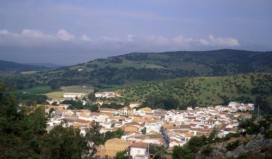 Bosque, El
