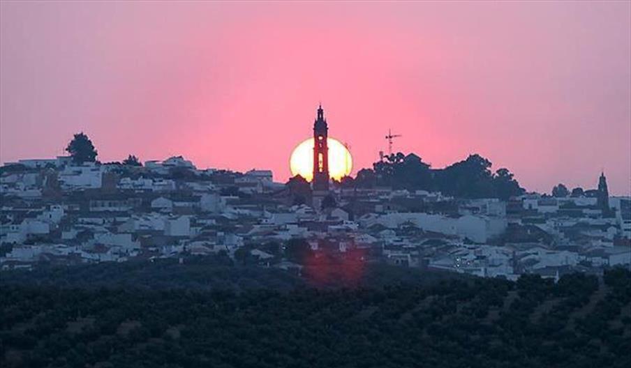 Bujalance