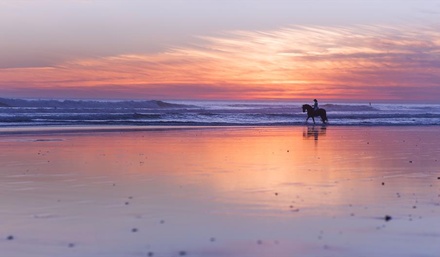 El Palmar