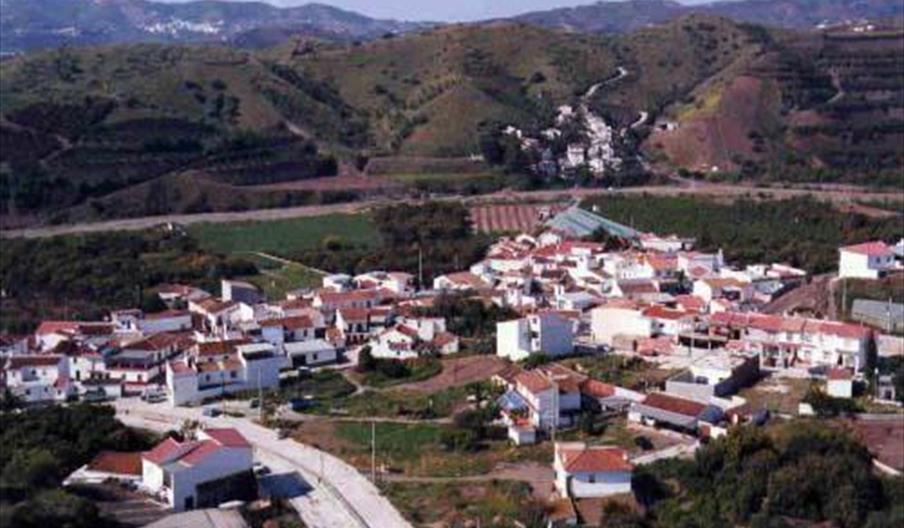 Triana