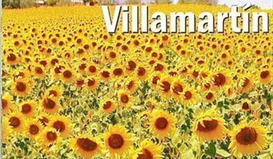 Villamartín