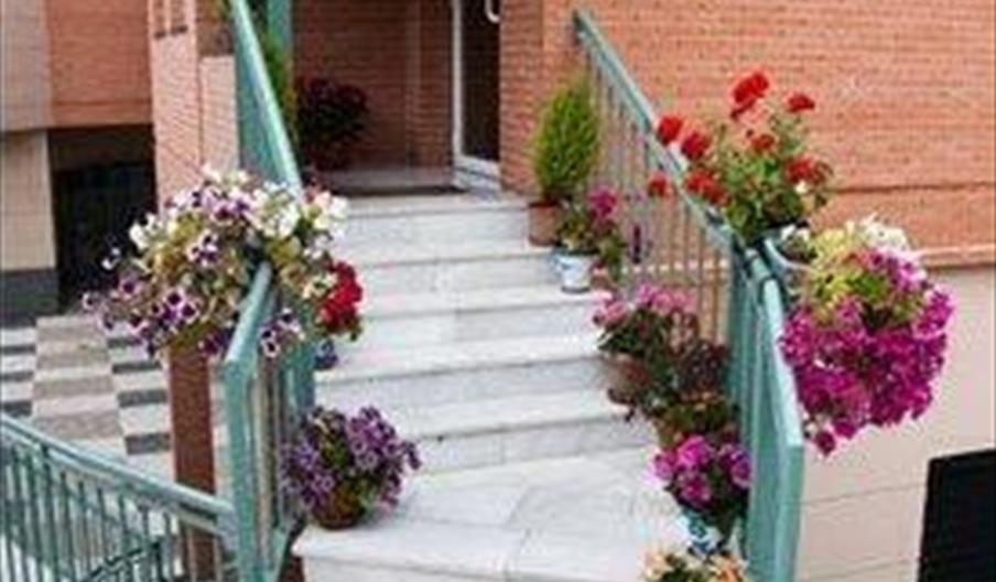 Hotel Albero
