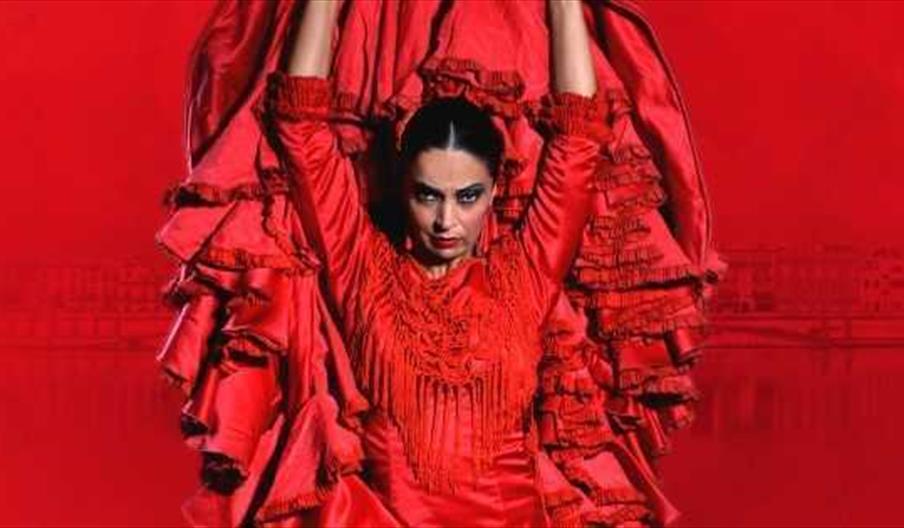 Teatro Flamenco Sevilla