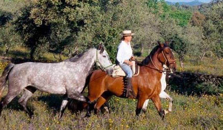 Finca El Moro