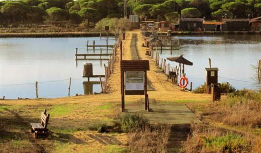 Salinas del Astur