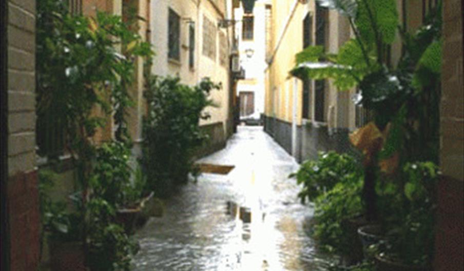 San Benito Abad