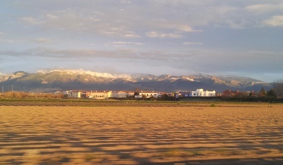 Vegas del Genil