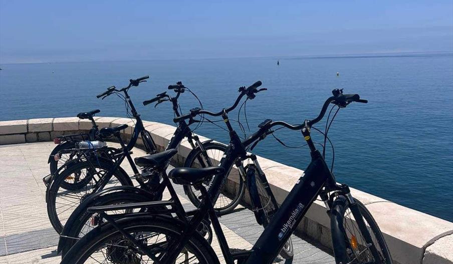 Ebike Malaga