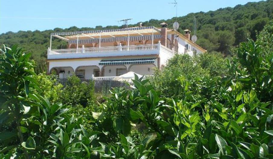 El Pinar