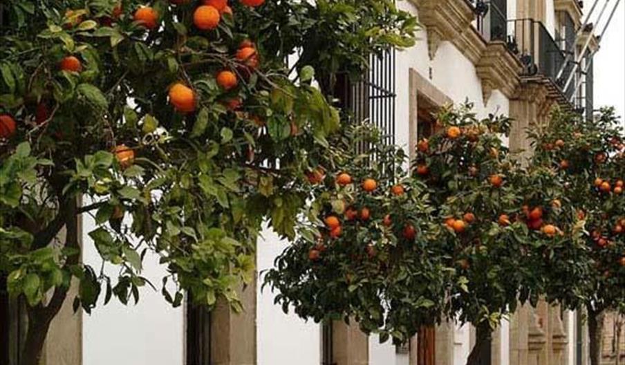 Hotel Tryp Jerez
