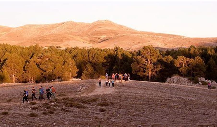 Seguraventura