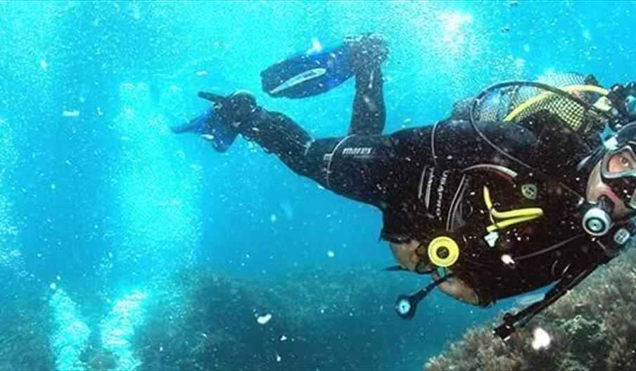 Simply Diving