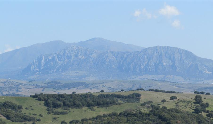 Sierra Crestellina