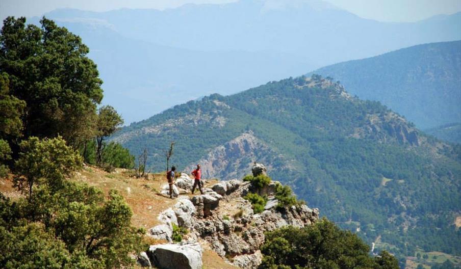 Andabosques del Sur