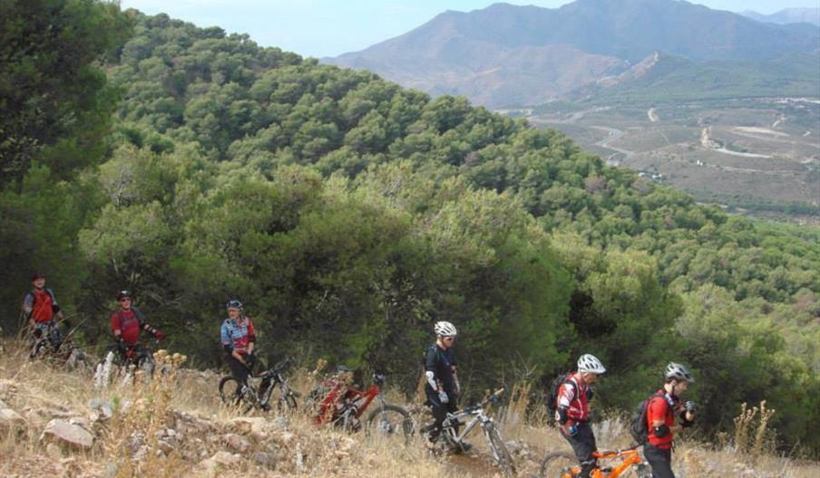 Sierra Cycling