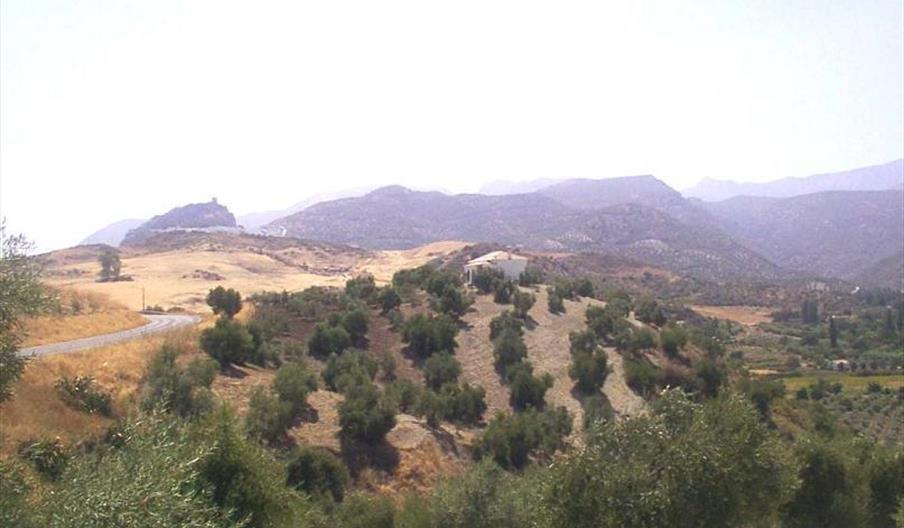 Cerrito Blanco