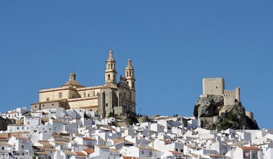 Olvera