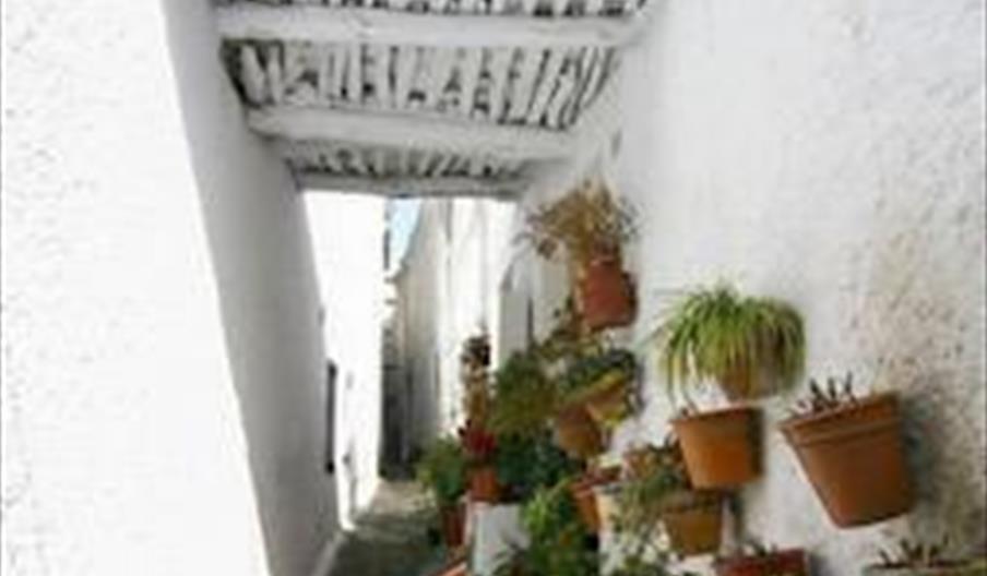 Mecina Fondales