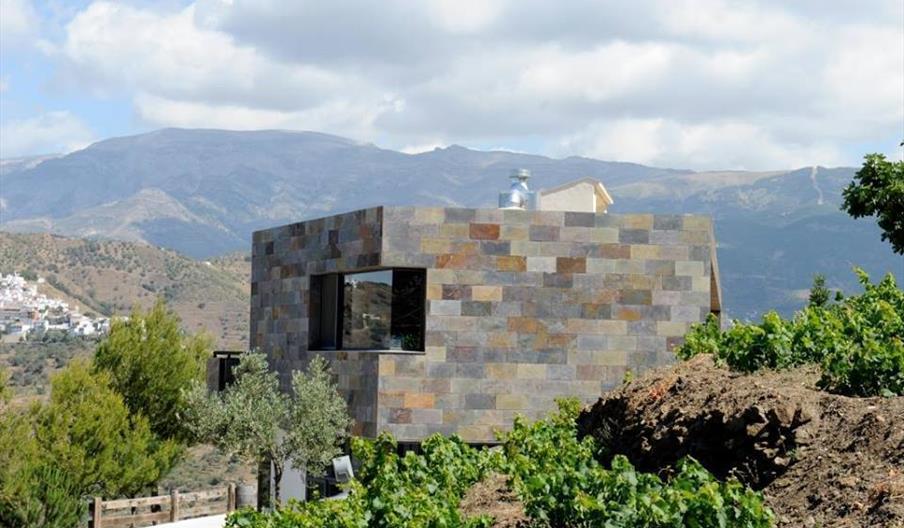 Bodegas Bentomiz