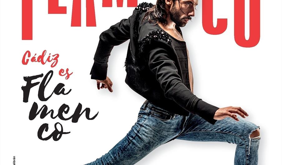 "Día Internacional del Flamenco"