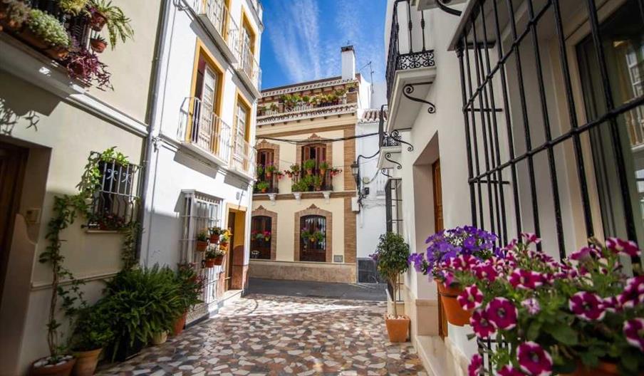 Calle