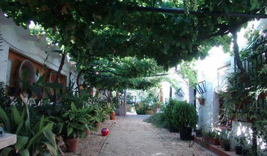 Las Cañadas