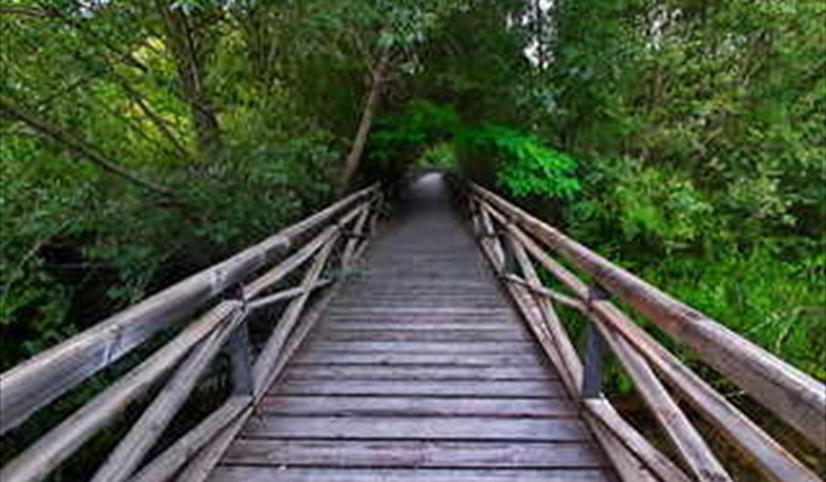 puente rio castril